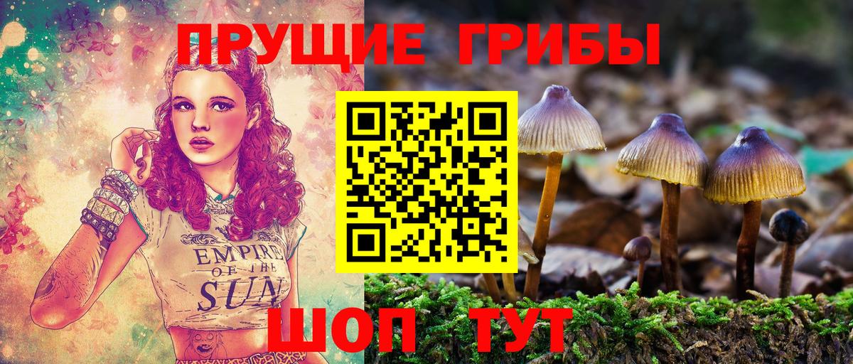 Псилоцибиновые грибы MAGIC MUSHROOMS Кизляр