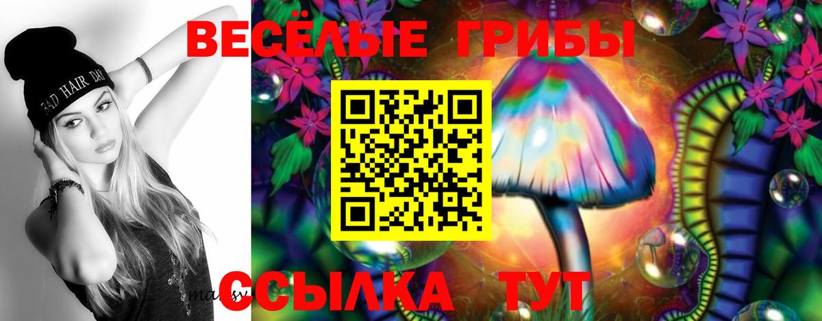 Псилоцибиновые грибы Psilocybe  Галлюциногенные грибы Magic Shrooms  Кизляр  Вход с VPN 
