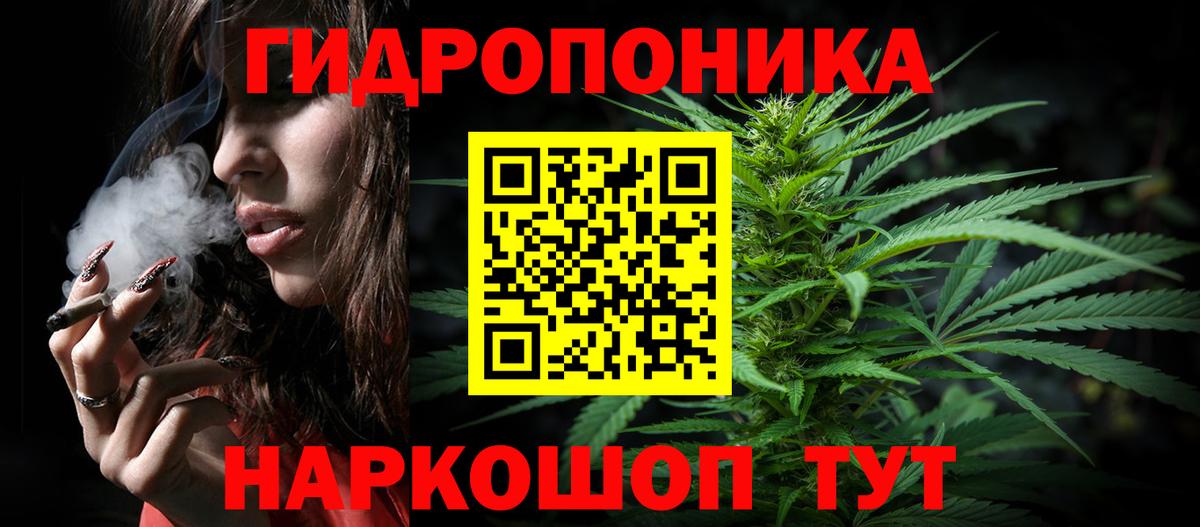 Бошки марихуана White Widow Кизляр