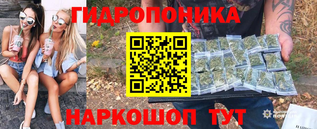 Марихуана гибрид  Вход с VPN  МАРИХУАНА конопля  Кизляр  Бошки Шишки Amnesia  Канабис Amnesia 